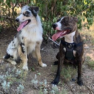 Meet your Posher, Jonna